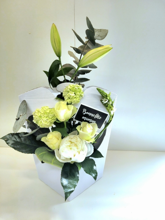 LHAF4_Collection FDM (3)