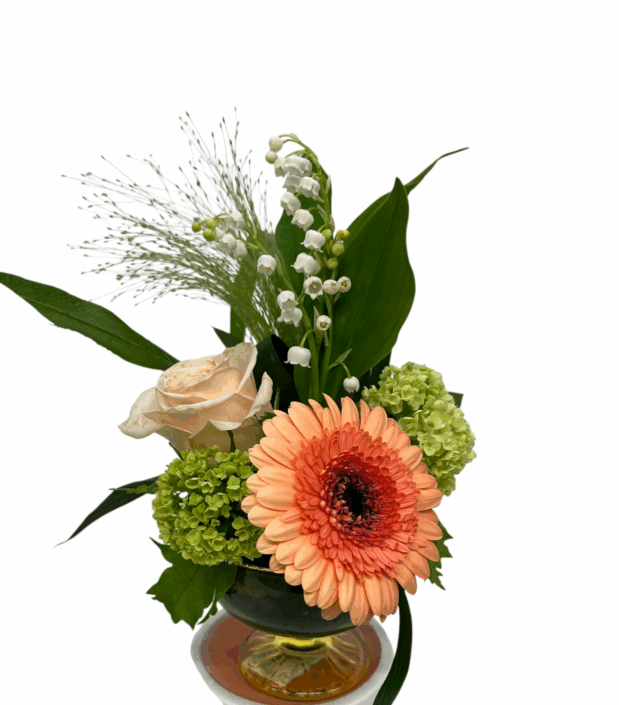 tendance 1